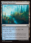 Dismal Backwater – Tarkir: Dragonstorm (TDM-254) Magic: The Gathering card | LC-REM-20260804-15401856074060-082b52c9-c46e-44d3-b723-546ba528e07b