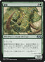 Magic-kaart Brawn UMA-160 uit Ultimate Masters (Uncommon)