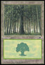 Forest (V.1)