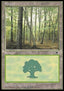 Forest (V.2)