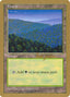 Magic-kaart Forest WC97-sg447 uit World Championship Decks 1997 (Special)