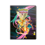 Ultra Pro 9-pocket portfolio in Ascended Heroes-stijl, vooraanzicht