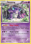 Nidoking