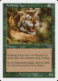 Magic-kaart Stalking Tiger 6ED-253 uit Classic Sixth Edition (Common)