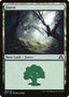 Forest – Shadows over Innistrad (SOI-295) Magic: The Gathering card | LC-REM-20260804-15151799664972-42efdb6a-1c54-497a-9058-af4256241649