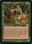 Magic-kaart Sylvan Hierophant WTH-141 uit Weatherlight (Uncommon)