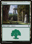 Forest – Throne of Eldraine (ELD-269) Magic: The Gathering card | LC-REM-20260804-15150737883468-4fd257a5-439d-4ef8-9cc9-9741e99a04e3