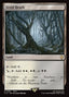 Fetid Heath – Final Fantasy Commander (FIC-391) Magic: The Gathering card | LC-REM-20260804-15339559059788-5277f73d-b964-4ce6-823d-ce0fbf0a2d28