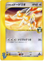 Falkner's Dodrio