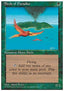 Birds of Paradise