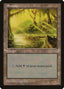 Magic-kaart Swamp MIR-341 uit Mirage (Land)