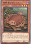Leafplace Plaice — Battle of Chaos (OCG) (BACH-JP-029) Yu-Gi-Oh! card