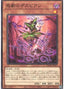 Despian Tragedy — Dawn of Majesty (OCG) (DAMA-JP-005) Yu-Gi-Oh! card