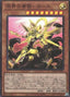 Keurse, the Ogdoadic Light — Deck Build Pack: Ancient Guardians (DBAG-005) Yu-Gi-Oh! card