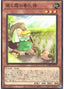 Vernusylph of the Misting Seedlings — Darkwing Blast (OCG) (DABL-JP-026) Yu-Gi-Oh! card