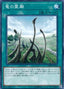 Dragon Shrine — Duelist Pack: Legend Duelist 3 (DP20-010) Yu-Gi-Oh! card