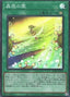 Traptrip Garden — Structure Deck: Forest of the Traptrix (SD45-023) Yu-Gi-Oh! card