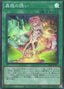 Traptantalizing Tune — Structure Deck: Forest of the Traptrix (SD45-024) Yu-Gi-Oh! card