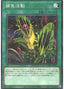 Predapractice — Secret Utility Box (SUB1-040) Yu-Gi-Oh! card