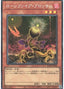 Lonefire Blossom — Rarity Collection Quarter Century Edition (RC04-002) Yu-Gi-Oh! card