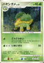 Grotle Lv.21