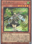 Wynn the Wind Channeler — Rarity Collection Quarter Century Edition (RC04-019) Yu-Gi-Oh! card