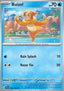 Buizel