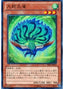 Kujakujaku — Promotion Pack 3 (PR03-018) Yu-Gi-Oh! card