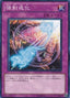 Degen-Force — Order of Chaos (OCG) (ORCS-JP-073) Yu-Gi-Oh! card