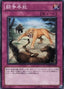 Battle Instinct — Duelist Revolution (OCG) (DREV-JP-064) Yu-Gi-Oh! card