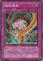 Plant Food Chain — Crossroads of Chaos (OCG) (CSOC-JP-076) Yu-Gi-Oh! card