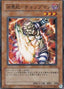 Chopman the Desperate Outlaw — Controller of Chaos (306-010) Yu-Gi-Oh! card