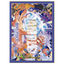 70 "Championship 2024 KV" Sleeves - One Piece Products