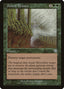 Desert Twister – Mercadian Masques (MMQ-243) Magic: The Gathering card | LC-REM-20260804-15361523843404-7d2437f2-1966-4e83-9f7e-6aaf76e21d11
