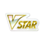 Pokémon VSTAR Marker