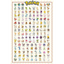 Pokemon Kanto Poster