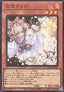 Ash Blossom & Joyous Spring (V.1 - Super Rare)