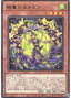 Radiant Typhoon Meghala — Doom of Dimensions (OCG) (DOOD-JP-012) Yu-Gi-Oh! card