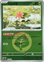 Shaymin