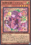 Fairy Tail - Matchgiru (V.1 - Super Rare)