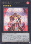 Brotherhood of the Fire Fist - Tiger King (V.2 - Secret Rare)