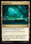 Magic-kaart Thriving Isle TMC-78 uit Teenage Mutant Ninja Turtles Eternal (Common)