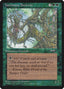 Magic-kaart Yavimaya Ancients ALL-104a uit Alliances (Common)