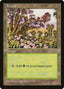 Magic-kaart Forest MIR-350 uit Mirage (Land)