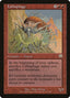 Lithophage – Mercadian Masques (MMQ-202) Magic: The Gathering card
