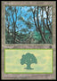 Forest (V.3) - Portal Second Age (Land)