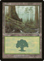 Forest – Mercadian Masques (MMQ-348) Magic: The Gathering card | LC-REM-20260804-15476050592076-a38e4ee7-6965-4e12-95d4-c9de1dbb014c