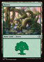 Forest – Lorwyn Eclipsed (ECL-273) Magic: The Gathering card | LC-REM-20260804-15546831503692-b460f5f7-c7c9-400c-8419-23d614f45bf9