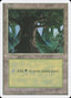 Magic-kaart Forest 4ED-378 uit Fourth Edition (Land)