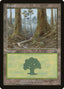 Magic-kaart Forest MMQ-349 uit Mercadian Masques (Land)